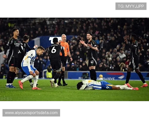 球迷参与治理在布莱顿俱乐部的实践与体现 球迷参与治理在布莱顿俱乐部的实践与体现